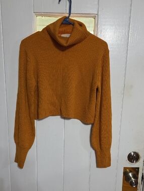 Wilfred Aritzia Women's Sweater Cropped Turtleneck Burnt Orange Butterscotch XS
